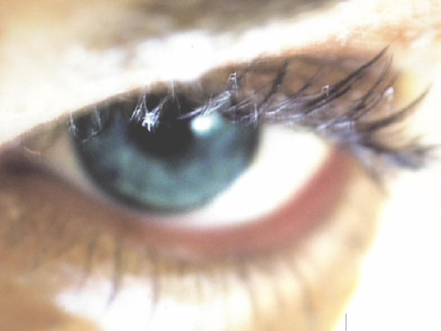 Still from Bianca Wickinghoffs Video Seele Still from Bianca Wickinghoffs Video Seele