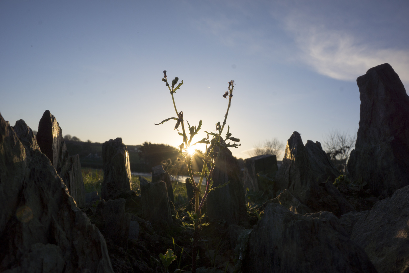 Sunshine at pathway at some of Irelands lovely landscapes Sunshine at pathway at some of Irelands lovely landscapes