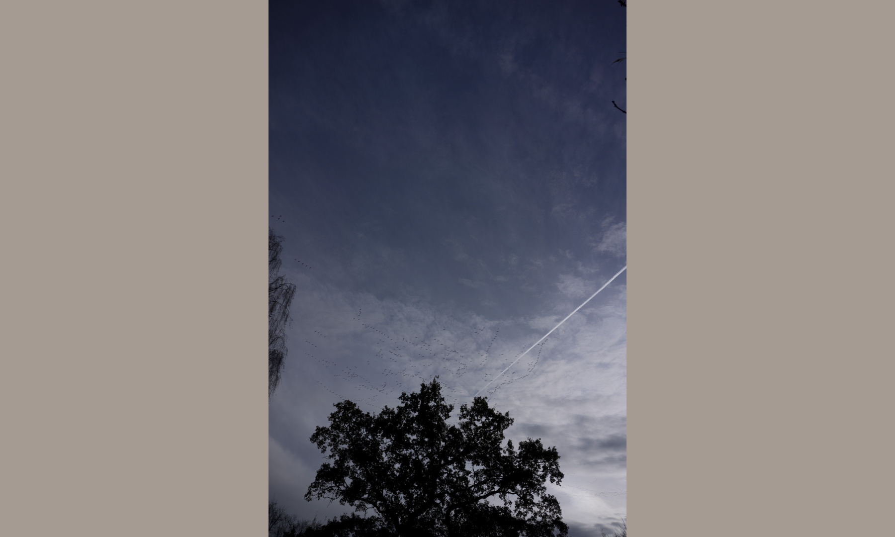 Lines in the sky by planes