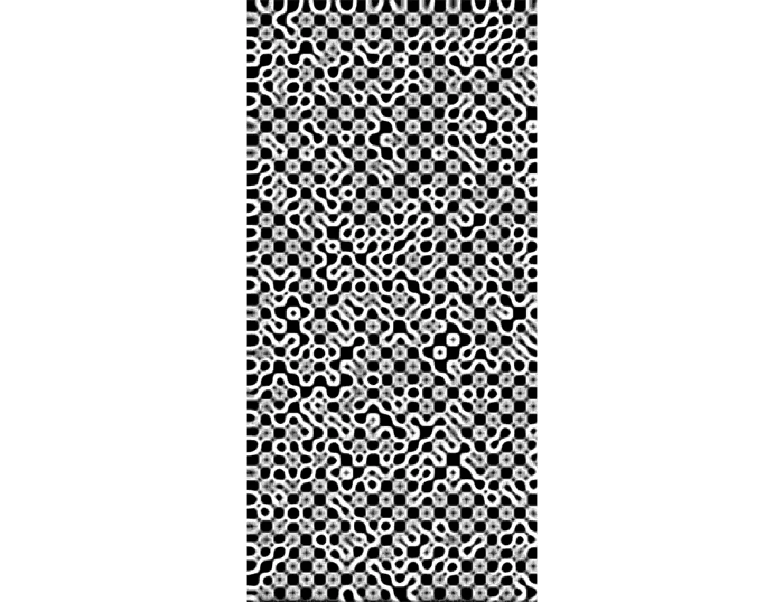 bg19