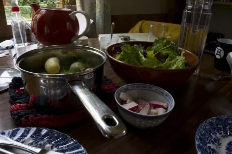 All from the field, potatoes, radish, letuce