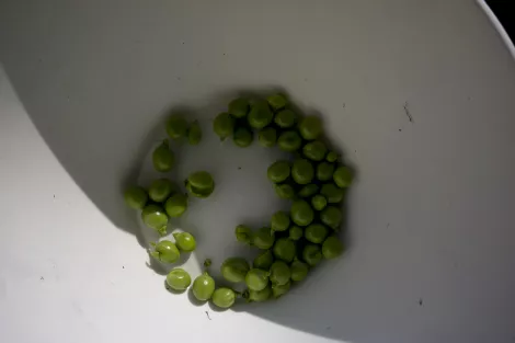 peas