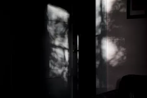 Shadows on the wall Shadows on the wall