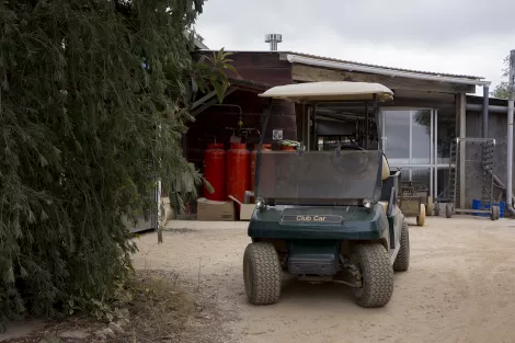 Golf car Golf car