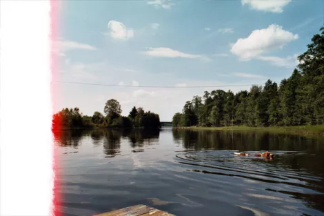 Dog swimming in sea in - Finland - taken by Dominik jais